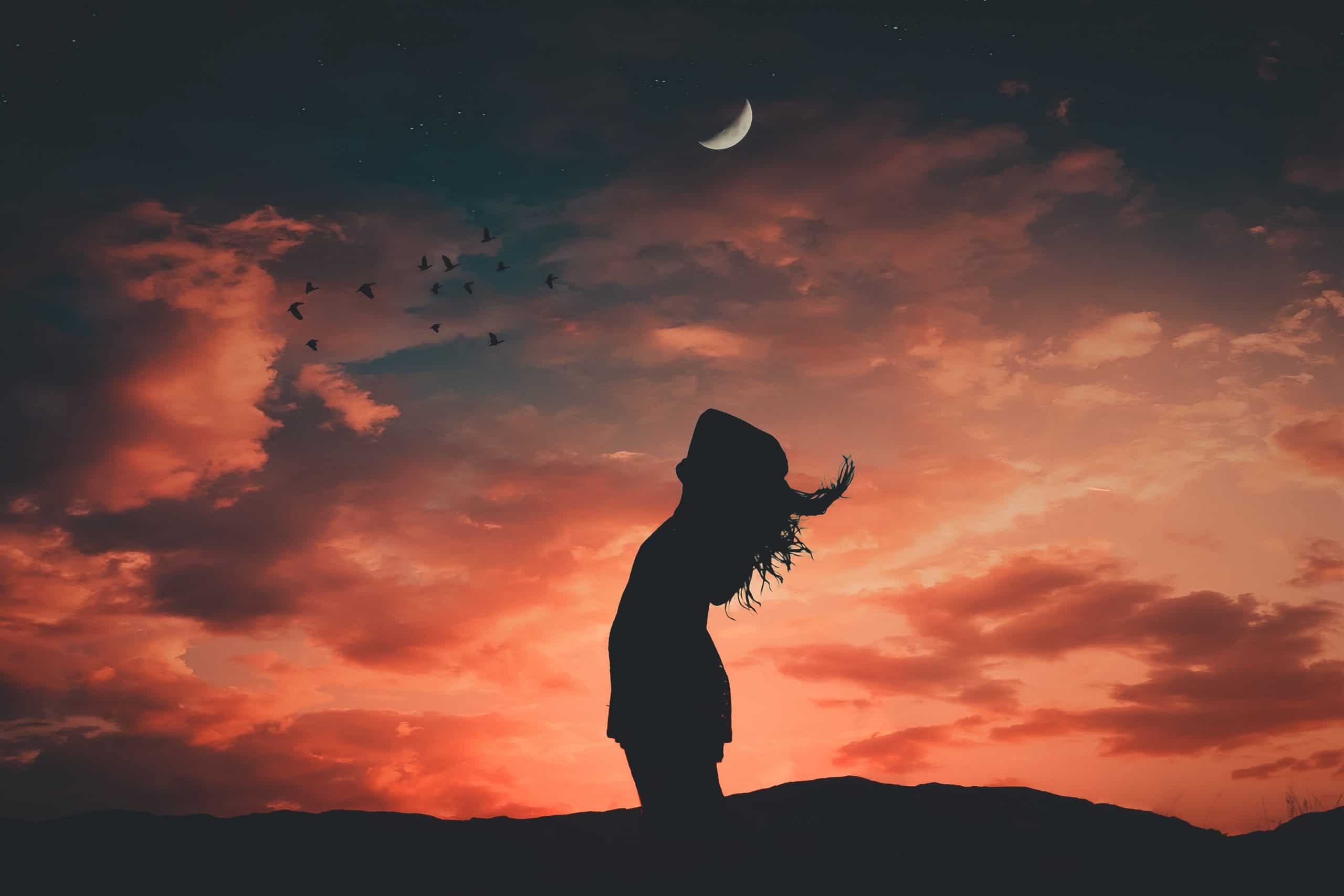 Silhueta de mulher com céu, lua e pássaros ao fundo