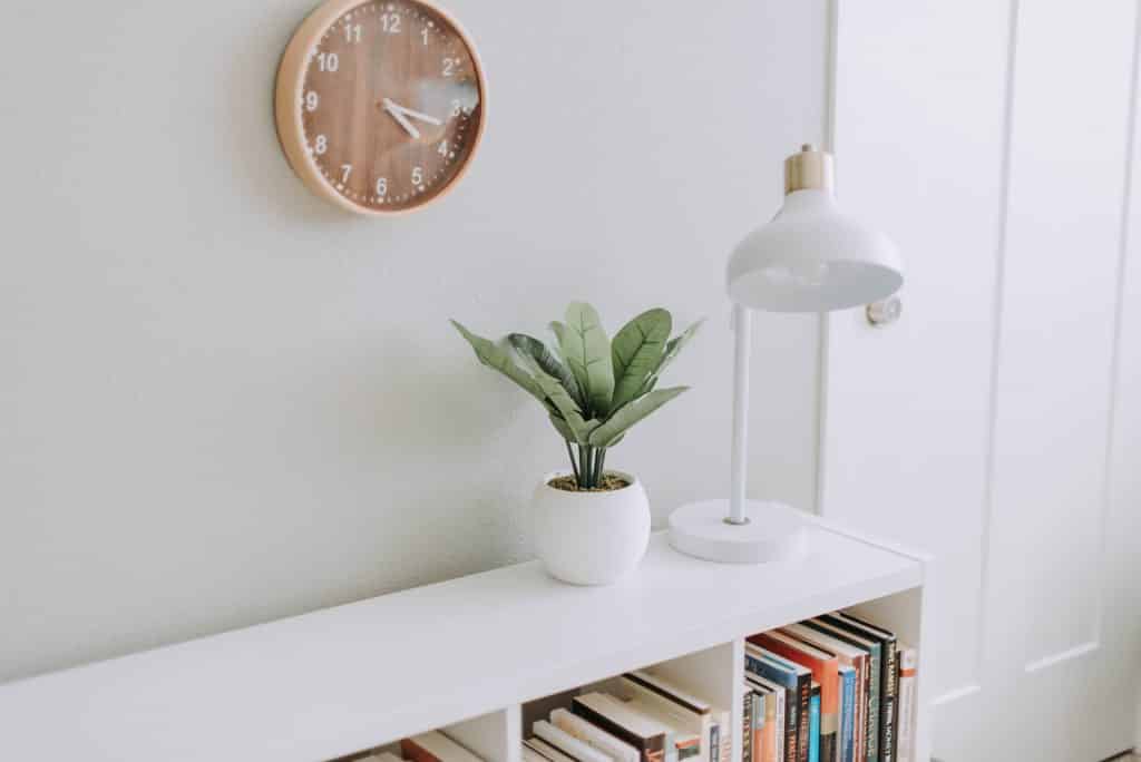 Estante com livros, um abajur e vaso com planta e na parede um relógio