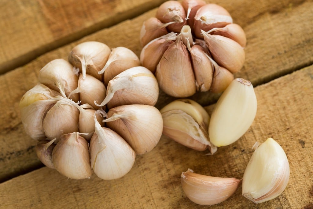 Garlic on the wooden background, Close up garlic on wooden table, Raw garlic in kitchen rooms.