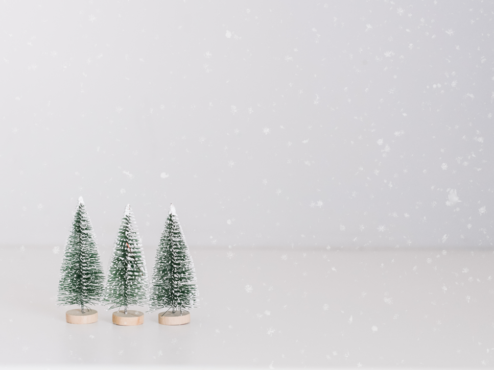 Três pinheiros em miniatura em um ambiente totalmente branco, com neve falsa caindo.