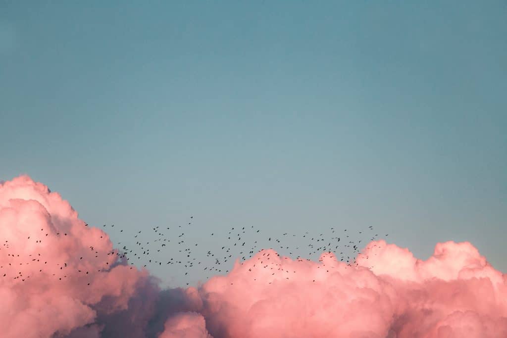 Céu ensolarado é visto acima de uma camada de nuvens, com pássaros voando.