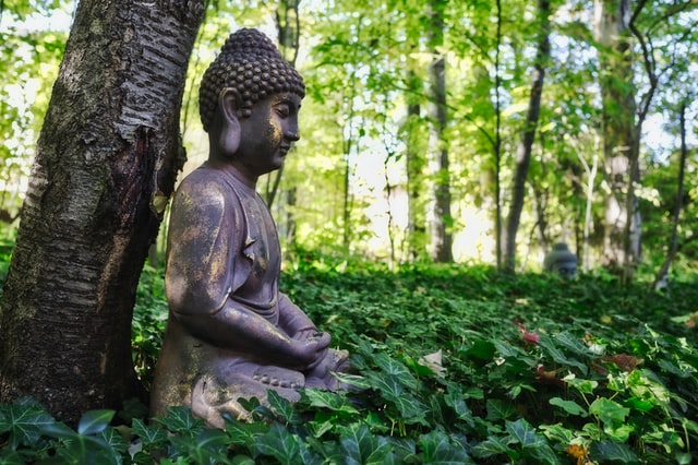 Estátua grande de Buda sentado em frente árvore e gramado em volta