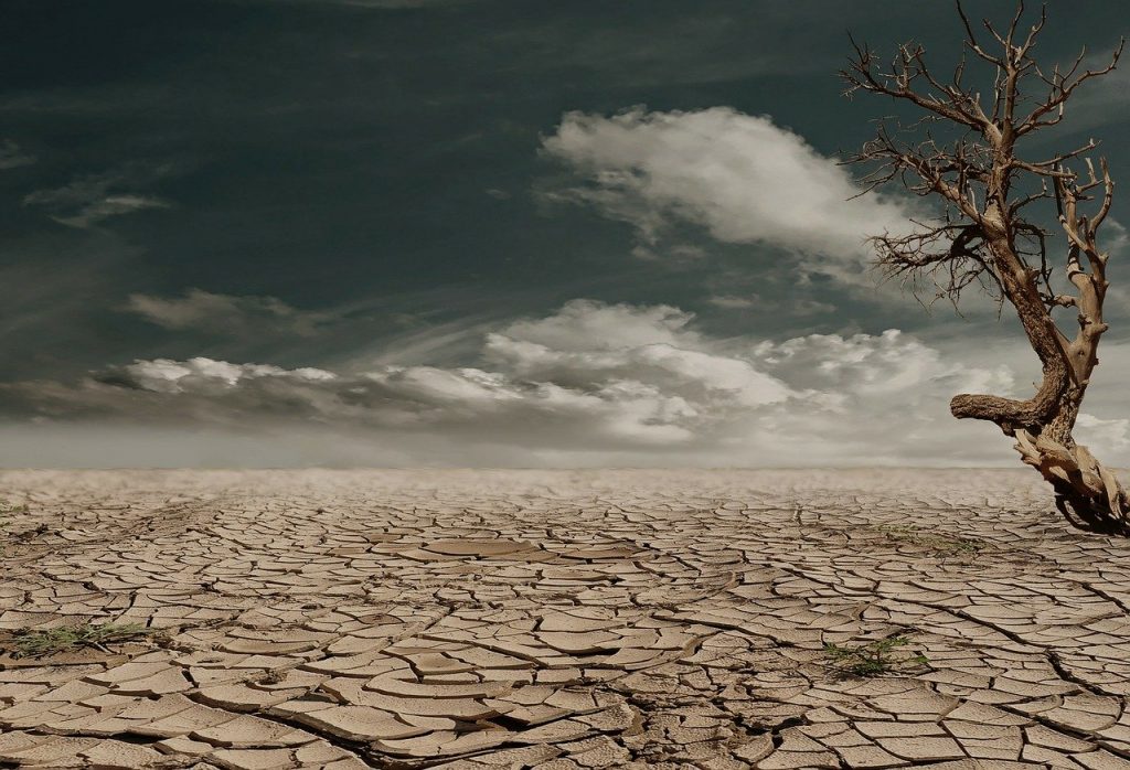Solo deserto todo rachado, com uma árvore seca ao lado direito. O céu está azul escuro e com muitas nuvens.