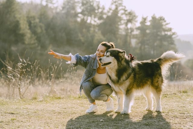 Mulher com cachorro em campo sorrindo e apontando 
