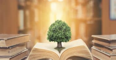 Pequena árvore saindo de dentro de livro numa biblioteca