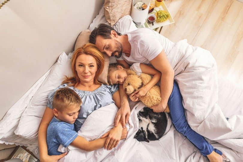 Mãe, pai, seus dois filhos e seu gato dormindo na mesma cama, vistos de cima.
