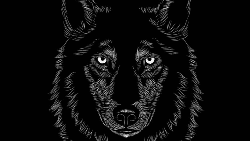 Desenho de um lobo em preto e branco