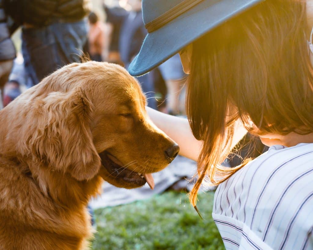 Mulher de frente para um cachorro