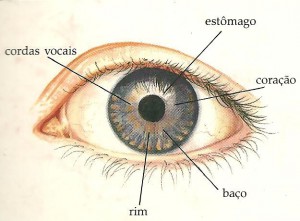 iridologia