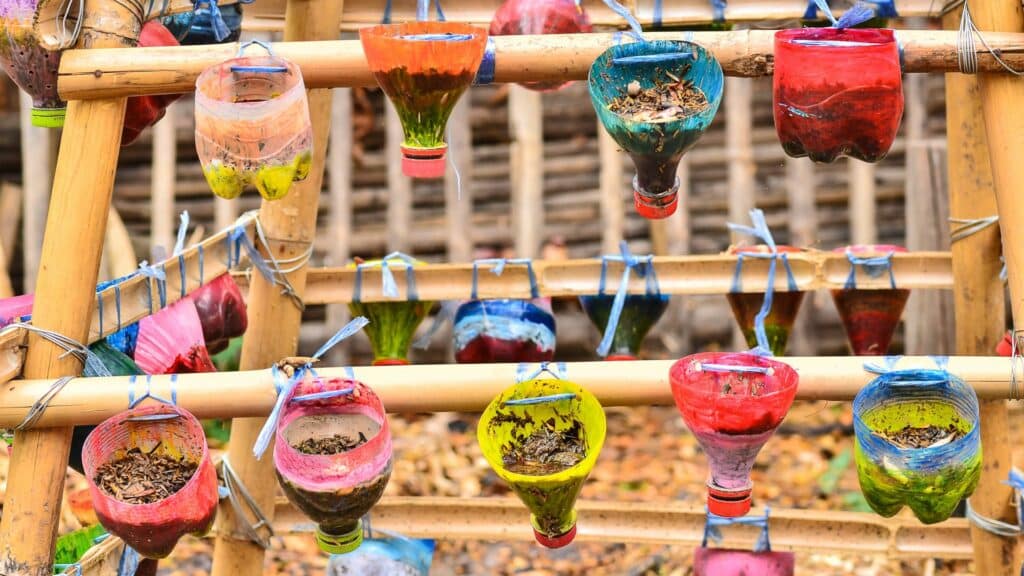 Imagem de uma plantação de pequenos temperos feita em garrafas pets.
