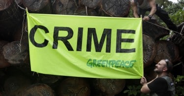 Ativistas do Greenpeace penduram uma faixa sobre toras de madeira em local próximo à Santarém (PA). A madeireira fica dentro de um assentamento, que sofre pressão para que tenha sua área reduzida e destinada para grileiros. O corte predatório e de madeira ainda é um grave vetor de destruição da Amazônia. A implementação de programas governamentais para promover o manejo sustentável da floresta na região carece de investimentos.