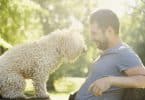 Homem sentado com cachorro em seu colo e sol refletindo