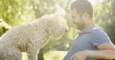 Homem sentado com cachorro em seu colo e sol refletindo