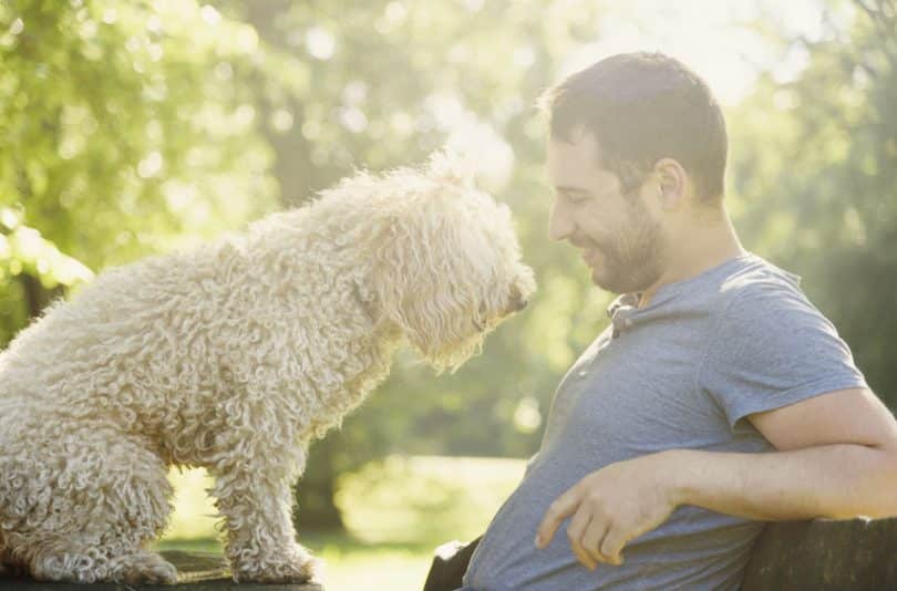 Homem sentado com cachorro em seu colo e sol refletindo