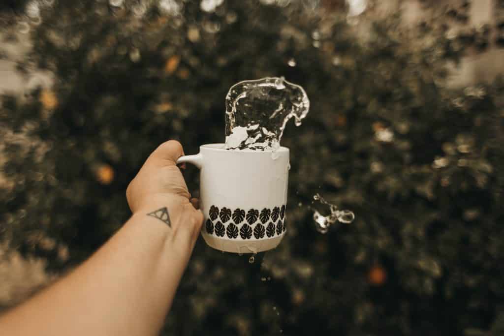 Pessoa segurando uma caneca com água no jardim