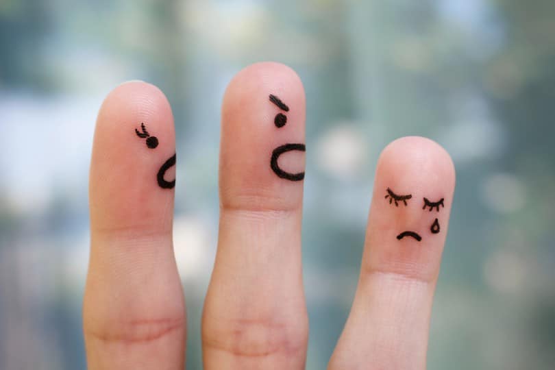 Bullying: Quando a brincadeira passa da conta