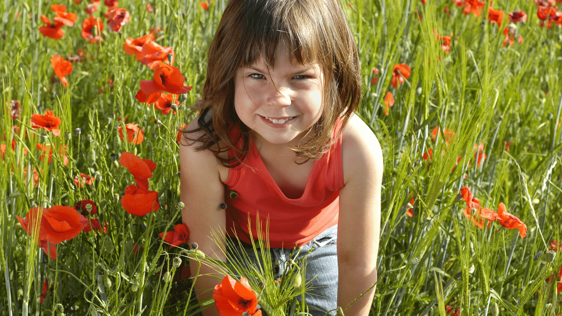 Garota pequena brincando no campo de flores vermelhas