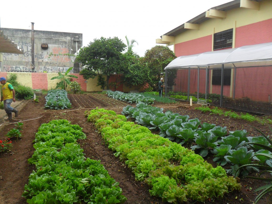 Conheça as hortas comunitárias em São Paulo. Inspire-se!