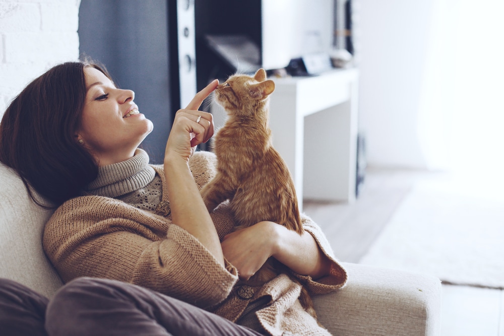 Mulher sentada no sofá com um gato no colo