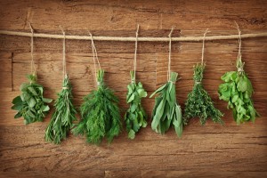 shutterstock_92331871