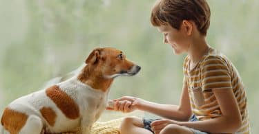 Menino branca segurando pata de cachorro.