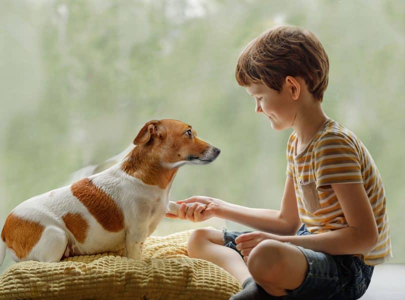 Menino branca segurando pata de cachorro.