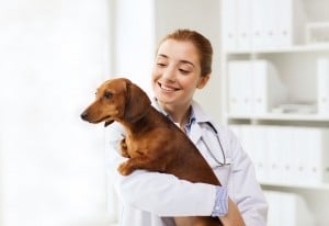 medicine, pet, animals, health care and people concept - happy v