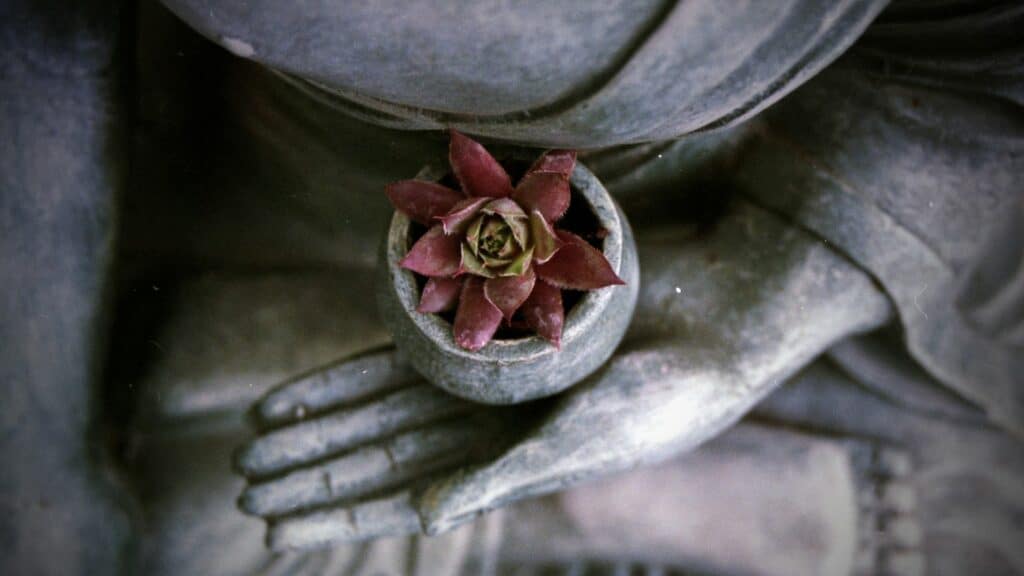 estátua budista segurando com flor de lótus