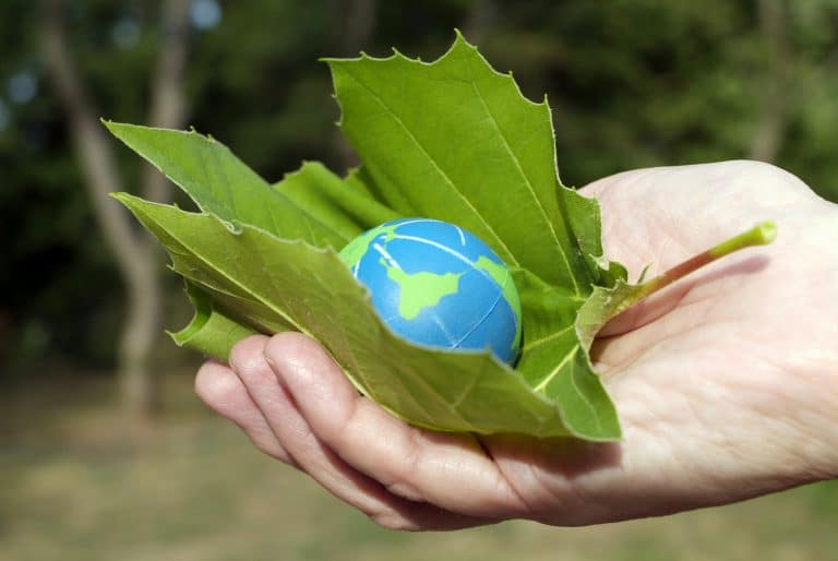 Ecofriendly o que é? Eu Sem Fronteiras
