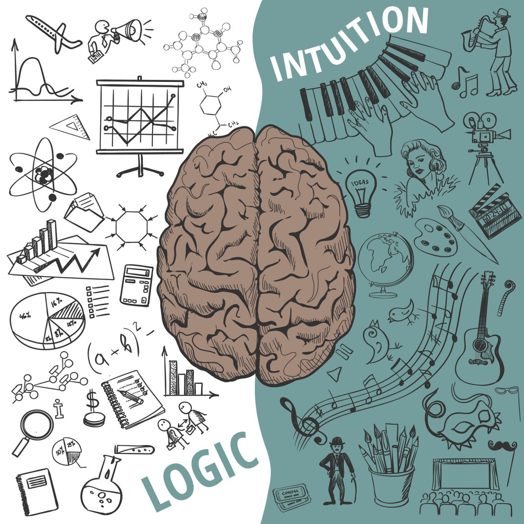 Creative brain Idea. Vector concept. Left and right brain functions, Human brain concept