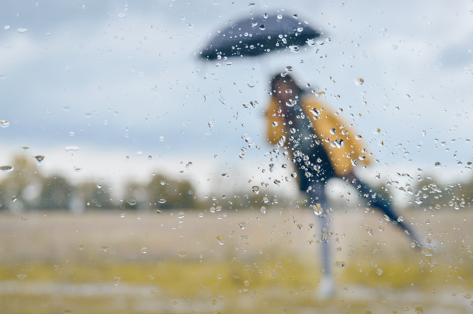 Picture of rainy autumn day. Woman standing under black umbrella with rain drops on window glass foreground.