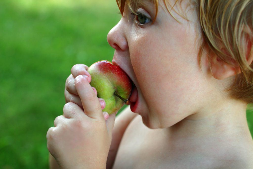 toddler boy eating apple