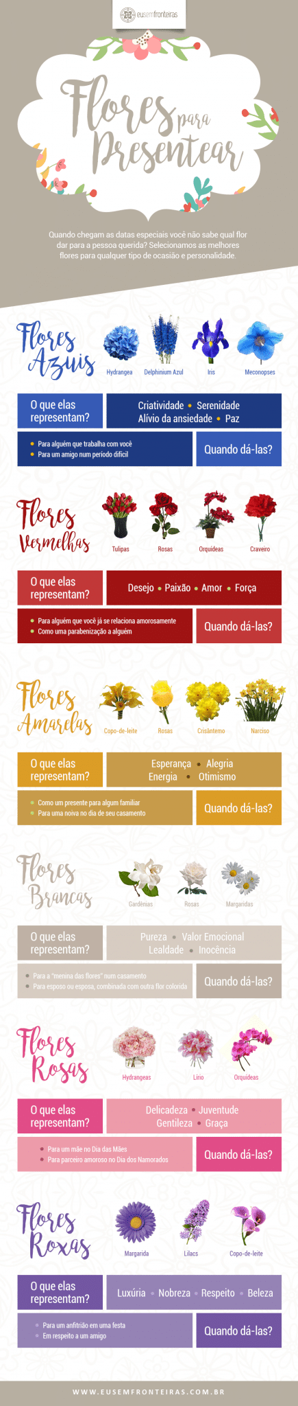 infografico-flores