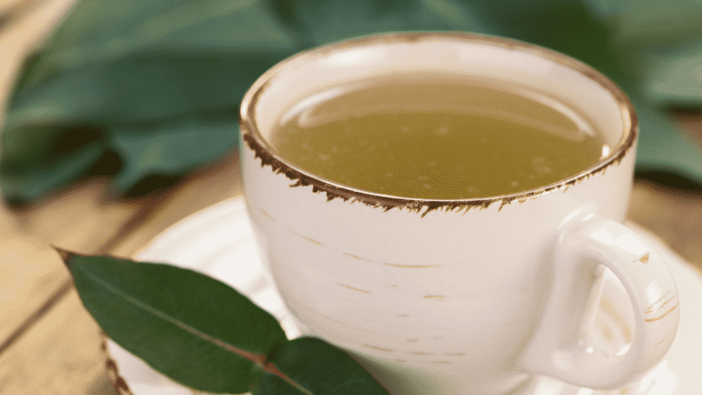 Chá de eucalipto