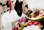 Cachorro comendo frutas