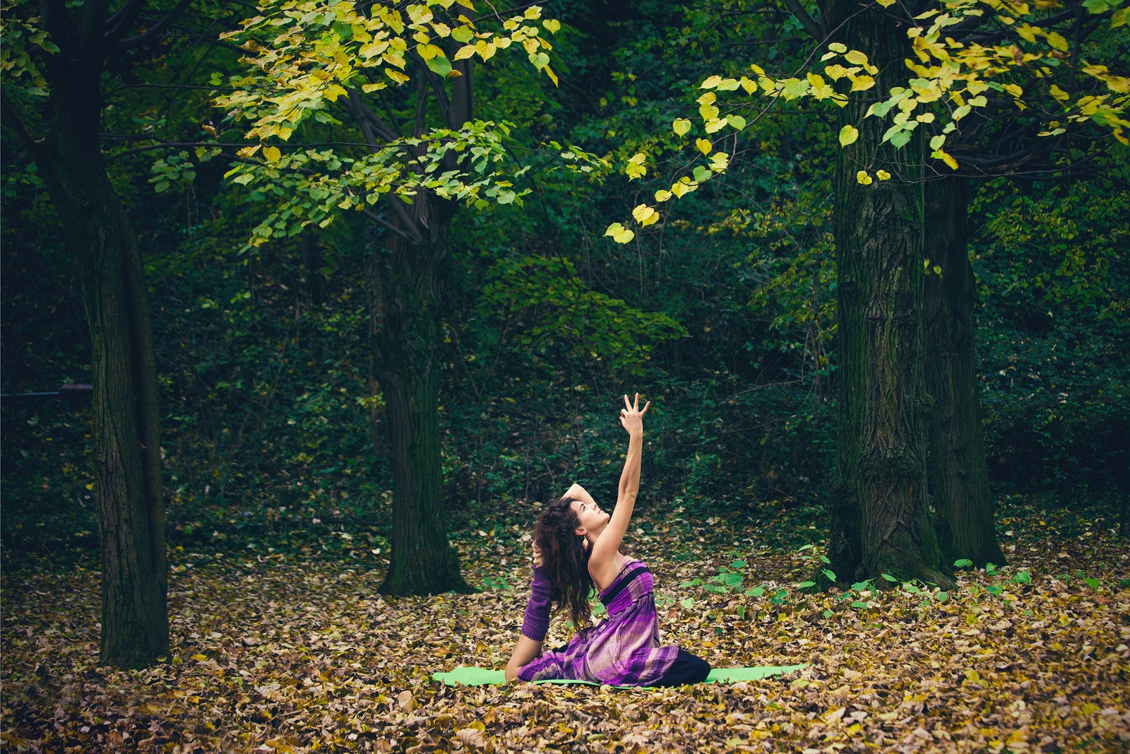 young woman practice yoga outdoor in autumn park day shot