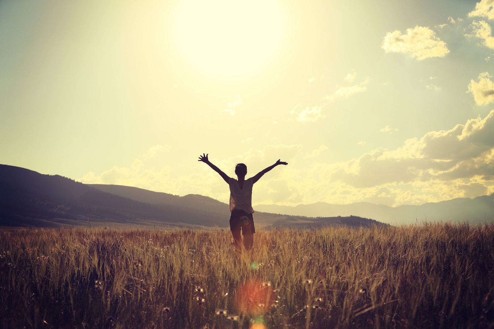 cheering young woman open arms on grassland