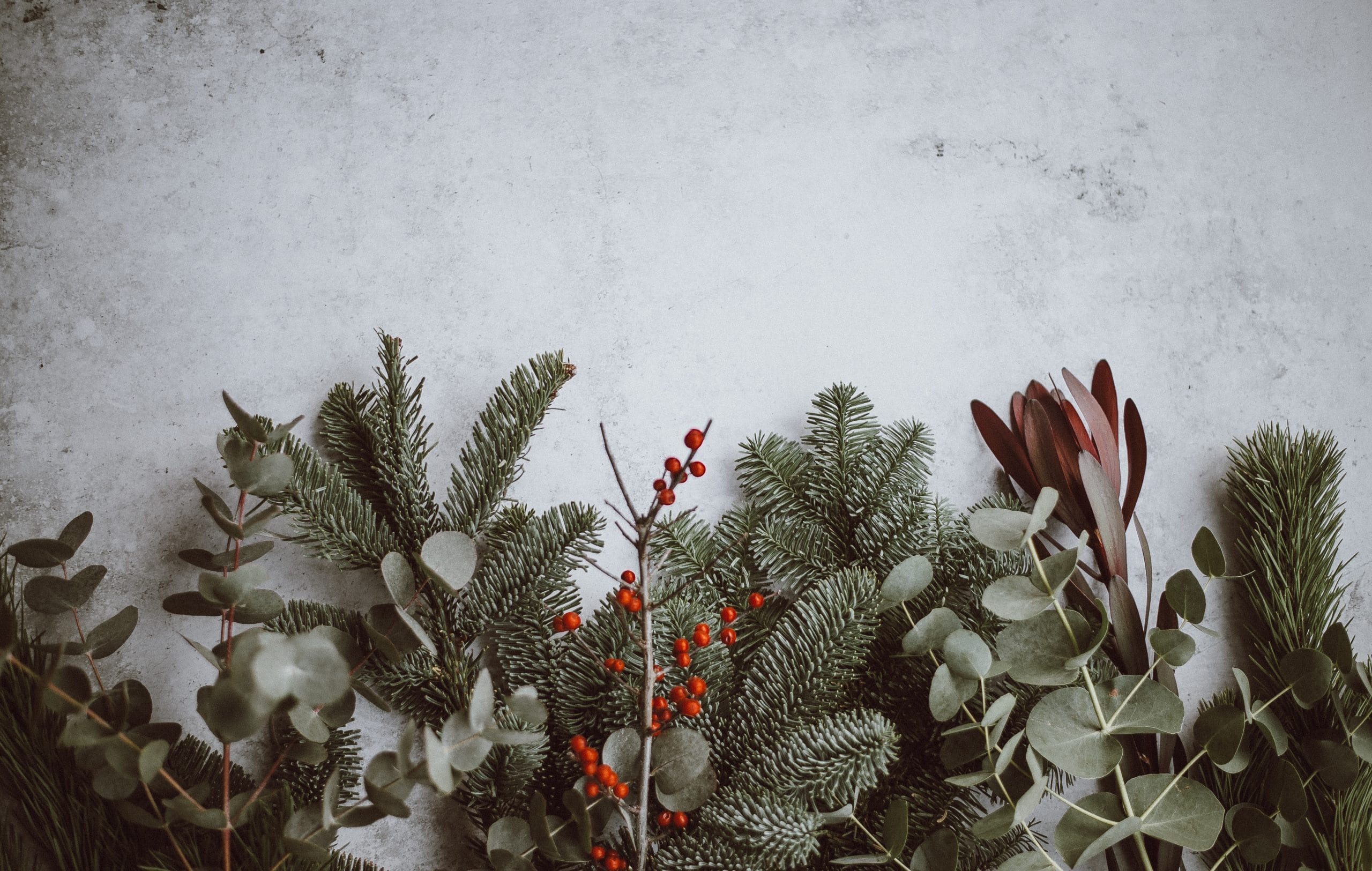 Folhas de decoração de Natal