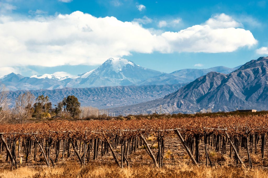 Volcano Aconcagua and Vineyard. Aconcagua is the highest mountain in the Americas at 6962 m (22841 ft). It is located in the Andes mountain range in the Argentine province of Mendoza