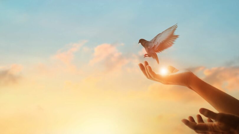 Imagem de fundo feita de nuvens e o pôr do Sol. Em destaque as mãos de uma mulher soltando um pássaro, trazendo o conceito de liberdade.