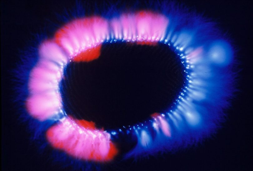 Fotografia kirlian o que 62 Fotografia kirlian o que 14