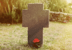 Imagem de um túmulo em formato de cruz com uma rosa vermelha