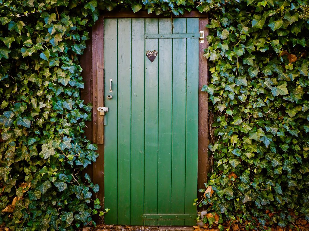 Porta verde em uma parede de plantas. A porta tem um pequeno buraco em forma de coração.