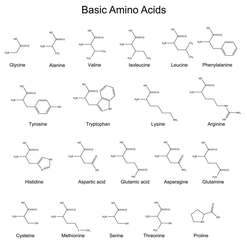 proteínas