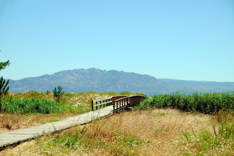 Caminho de Santiago