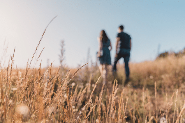 Casal andando de mãos dadas em uma plantação de trigo