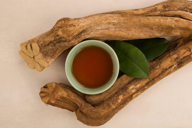 Elementos da medicina ayahuasca.