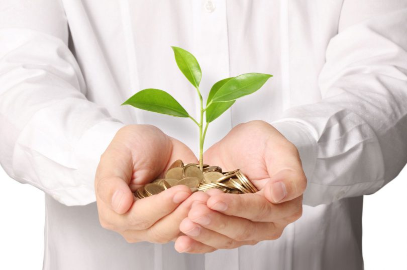 Mãos juntas segurando um punhado de moedas com uma muda de planta.