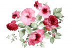 Pintura aquarelada de flores rosas e vermelhas.