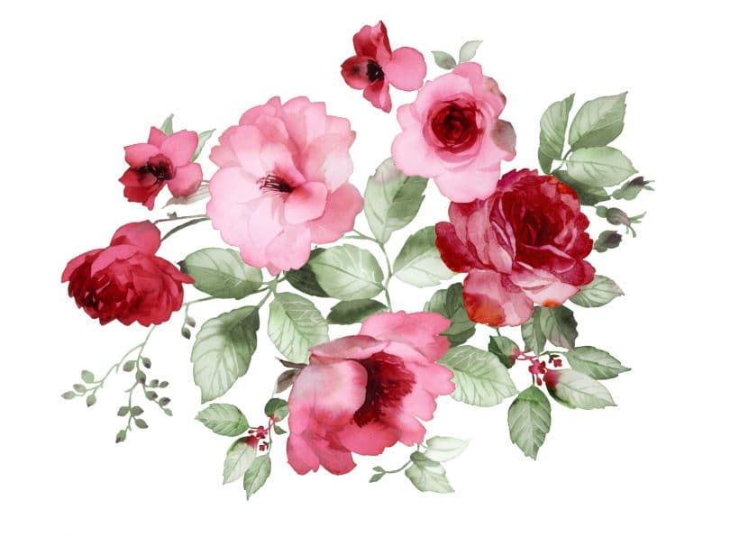 Pintura aquarelada de flores rosas e vermelhas.